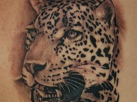 That includes the physical characteristics. Pin on Leopard tattoos