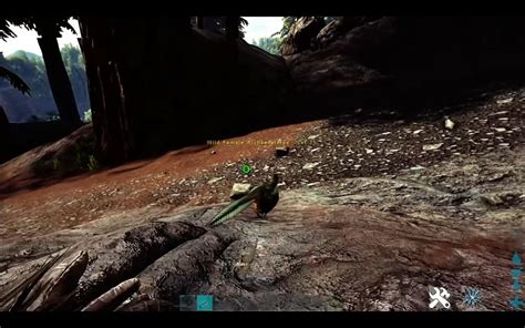 Ark Survival Ascended Archaeopteryx Taming Guide