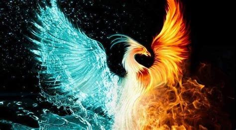 Pin By Frances Lucero On Fire And Ice Phoenix Images Phoenix Artwork Phoenix Wallpaper