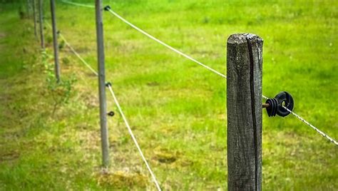 Buy direct from the manufacturer and save £££. Import Electric Fence in China, Electric Fence Manufacturers and Suppliers