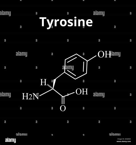 the amino acid tyrosine chemical molecular formula of tyrosine amino acid vector illustration