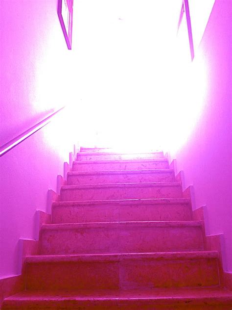 Pink Stairway To Heaven Photograph By Hannah Rose Pixels