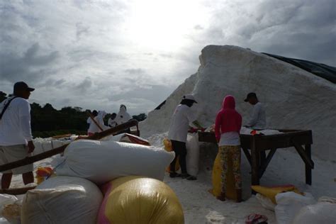 Lets Talk About Salt A Tour At Pacific Farms Inc In Bolinao Pangasinan