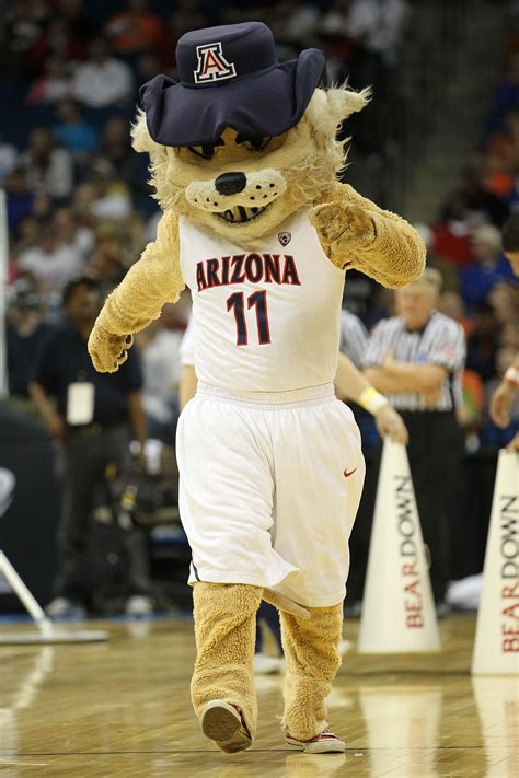 March Madness 2011 Power Ranking The Mascots Of The Sweet Sixteen