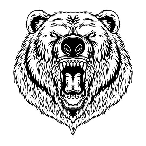 Angry Bear Head Illustration Angry Bear Animal Png And Vector With