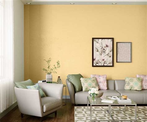 Try Honey Mustard House Paint Colour Shades For Walls Asian Paints