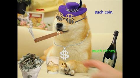 Today Was A Doge Day Youtube