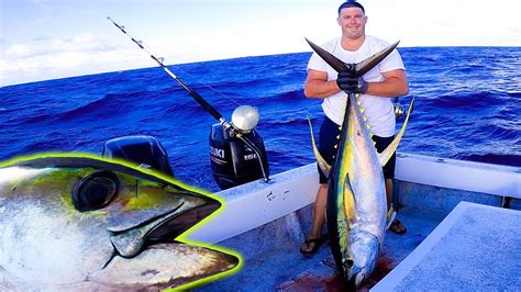 Sashimi Tuna Testicles Yellowfin Tuna Fishing Hawaii Ahi Fishing