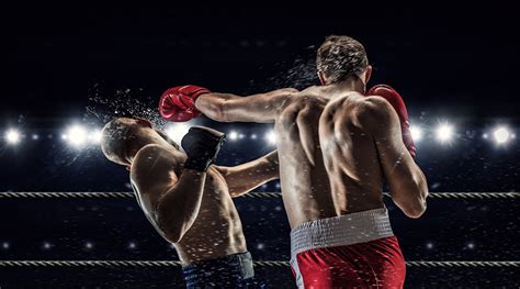 Desktop Wallpapers Men To Beat Human Back Two Sport Boxing