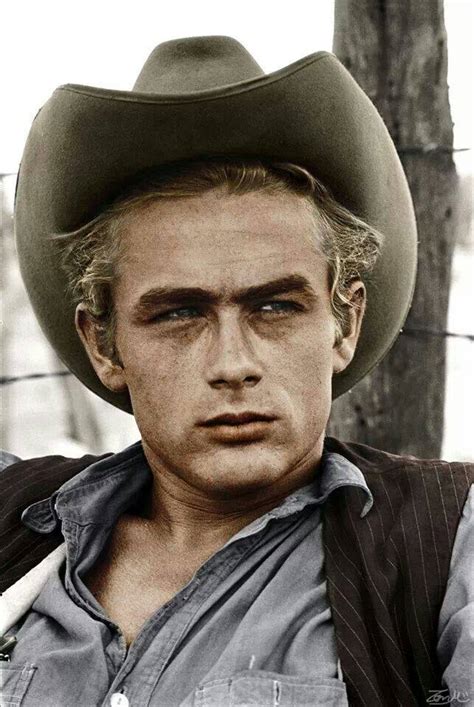 The team's crest is the shape of a douglas fir, a tree native to vancouver island, split into two segments, with the right side forming the shape of the island. JAMES DEAN: ROSTRO POÉTICO. POETIC FACE