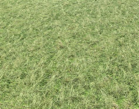 Grass Seamless Texture 3d Model Cgtrader