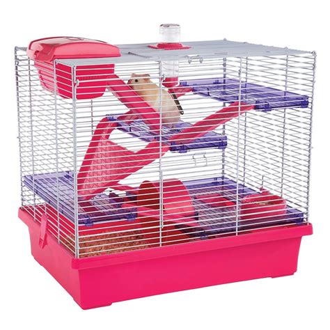 The Best Hamster Tank A Complete Guide