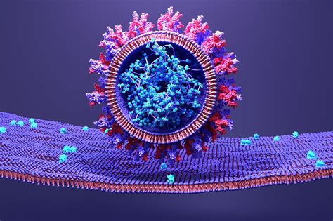 Scientists Discover Opportunity To Disrupt SARS CoV 2 Dynamics Prevent