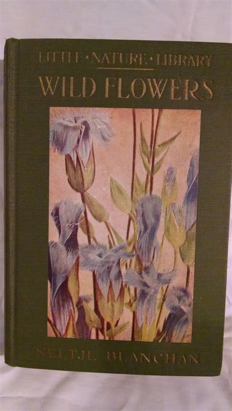 Wild Flowers Worth Knowing Little Nature Library By Neltje Blanchan