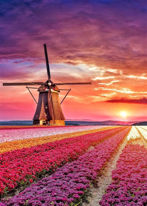 Netherlands Doesnt Want You Call Him Holland Nature Photography