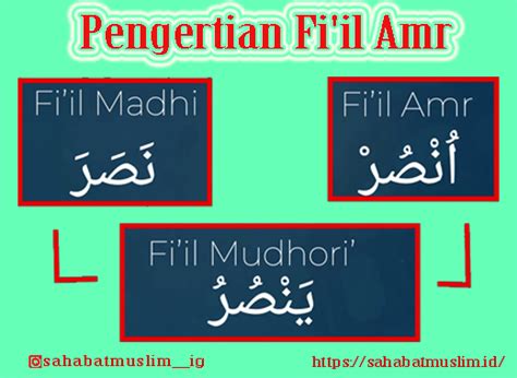 Sulit menghafal tasrif fiil māḍī, fiil muḍāri`, dan fiil amar? Contoh Kalimat Fiil Madhi Dalam Al Quran - retorika