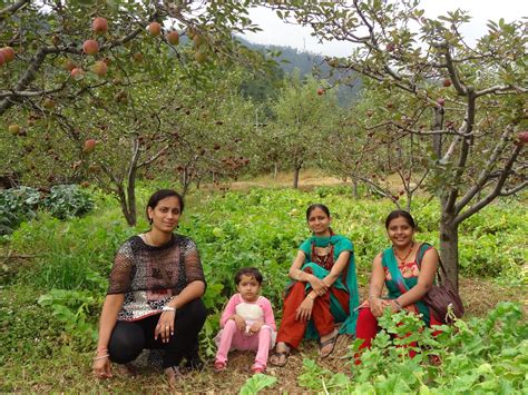 Free photo: Apple Garden - Apple, Food, Fresh - Free Download - Jooinn