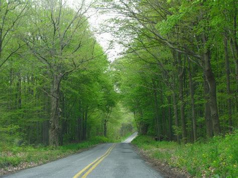13 Scenic Country Roads In Ohio To Take For A Casual Drive