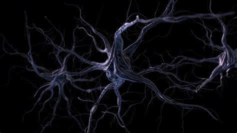 Neuron Wallpapers 4k Hd Neuron Backgrounds On Wallpaperbat