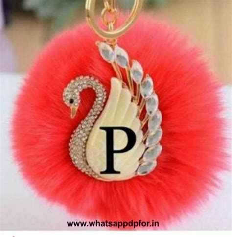 125+ P Love Images P Images Download (P Name Images ... Whatsapp images for dp is the first thing which people sees after saving your number.