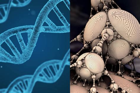 diferencia entre gen y genoma que diferencia