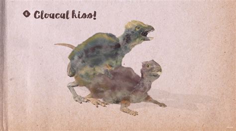 Bird Cloacal Kiss