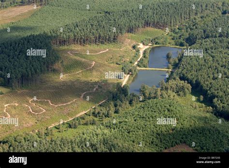 Cannock Chase Staffordshire Walks Woodland An Aerial View Of Hi Res