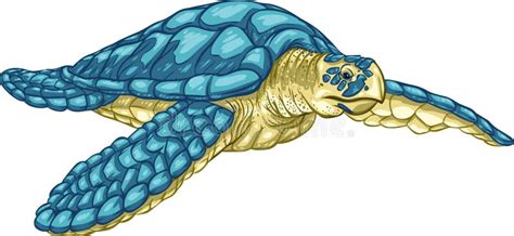 Hawksbill Sea Turtle Cartoon Vector Cartoondealer Com My Xxx Hot Girl