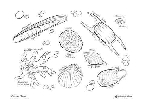 beach colouring page