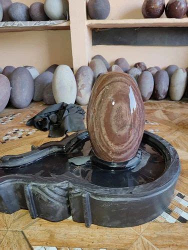 Multicolor Narmada Stone Natural Om Shivling Of Narmadeshwar For Temple Pooja At Rs In