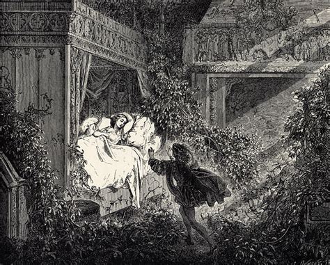 Les Contes Fantastiques De Gustave Doré