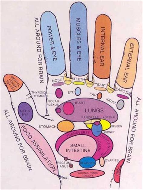 Hand Massage And How It Relates To Our Body Pressure Points Pinterest