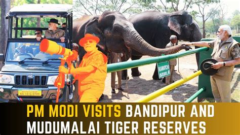 Pm Visits Bandipur And Mudumalai Tiger Reserves Pm Modi Poses With