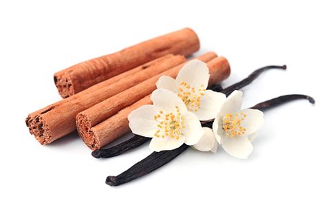 Vanilla Sticks And Cinnamon Stock Photo Download Image Now Istock
