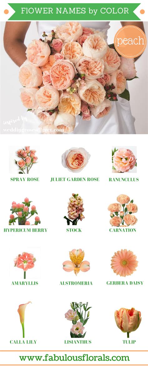 Save this awesome in depth white wedding flower guide to learn white flowers names discover new types of white flowers with pictures learn about flower availability seasons find pretty white wedding flower pairings and get flower arrangement info. Different types of flowers with names, meanings and types ...