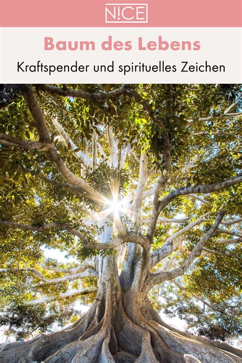 Der Baum Des Lebens Kraftspender Und Religiöses Zeichen Baum Des