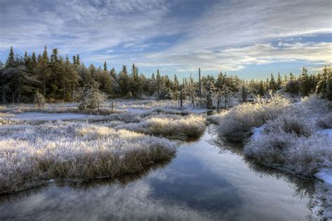 Free Photo Winter Landscape Blue Seasonal Reflection Free