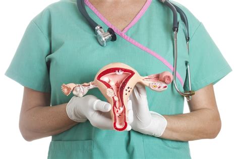 Learn How Your Reproductive Cycle Works With A Well Woman Exam