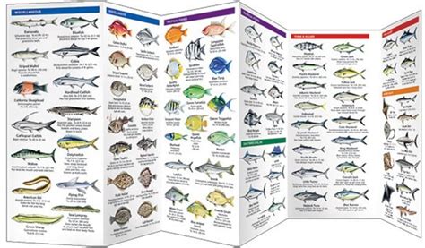 Saltwater Game Fish Of North America Pocket Fish Identification Guide®