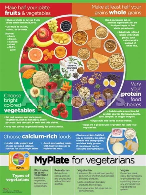Find high quality printed food pyramid posters at cafepress. 'My Plate for Vegetarians Poster' Prints | AllPosters.com ...