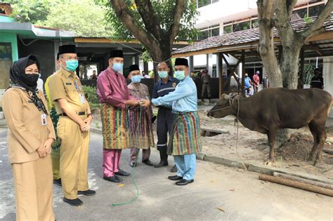 Alhamdulillah nombor yang saptu ni naik lagi bagi pada hari mingu ini iyang mau silah watsap terbukti naik lagi podium di. Pemko Potong 44 Ekor Sapi, Dibagikan Hari Ini. - Pekanbaru ...