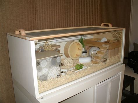 Diy hamster cage or homemade hamster cage. DIY Hamster Cage : Didn't know where else to put this. But HOLY CRAP!! Happiest hamster ever ...