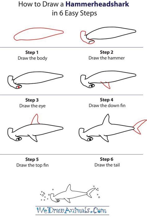 How To Draw A Hammerhead Shark Step By Step Shark Drawing Shark