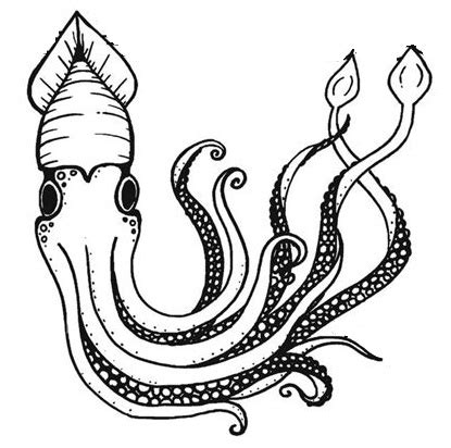 Giant squid, giant squid coloring page, giant, squid, giant squids, kraken, krakens, colossal squid, huge squid, tentacles, giant tentacles giant squid coloring page printable