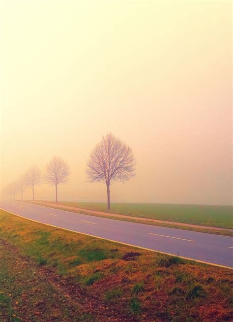 Download Wallpaper 840x1160 Foggy Day Dawn Sunrise Highway Road