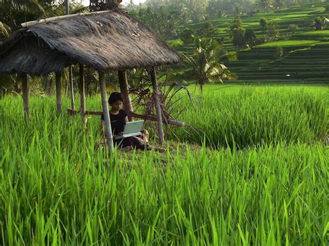 Should you consider being a digital nomad in Ubud, Bali? - Lollivia