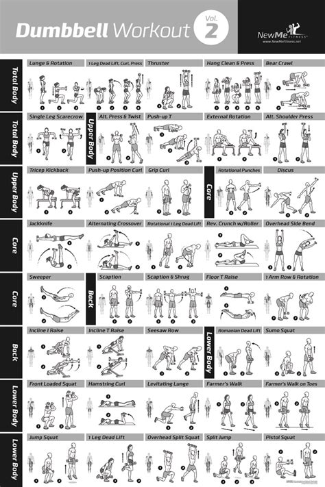 Newme Fitness Premieres Dumbbell Workout Exercise Poster Volume 2 Prunderground
