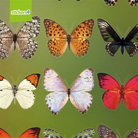 32 Realistic Butterfly Window Clings Butterflies For Windows Stickers4