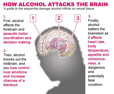 World Of Facts Alcohol Effects On Our Body
