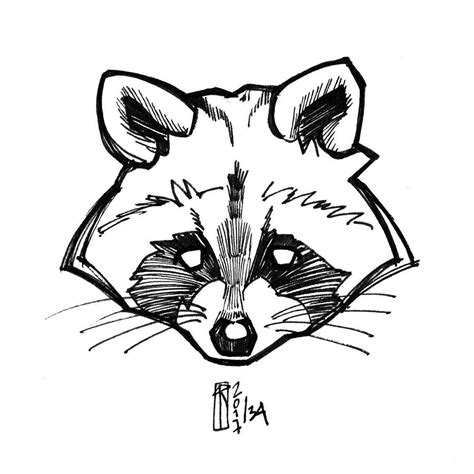 Raccoon Drawings Easy To Draw Sketch Coloring Page